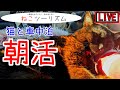 【猫と車中泊】山形最後の朝