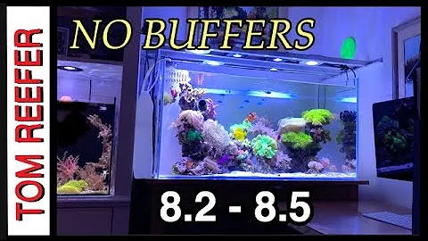 How To Raise PH In Your Reef Tank ( WITHOUT ANY BUFFERS)