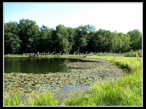 Reinstein Woods Nature Preserve...