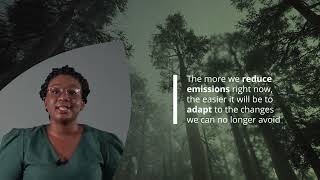 Climate Change 101 - Mitigation and Adaptation