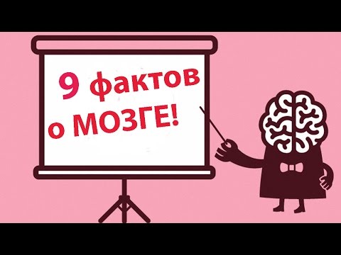 9 Интересных Фактов О Мозге О Которых Вы Не Знали!