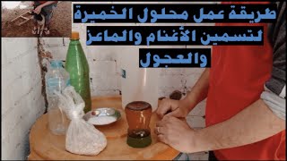 طريقة تحضير محلول الخميرة لتسمين الأغنام والماعز والعجول/وشرح عملى لتجريعه للأغنام👌