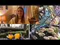 Day 15: Sacred Ceremony Vlogmas || Obstacles || Commitment || Perseverance || Surrender
