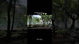 The Canvas Of Day 9100 530Pm Evening Time