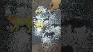 Shadow Printing day07/10 #summeractivities #shadowprint #animalcrafts #shadowart #artisticverse #fyp