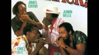 James Cotton, Junior Wells, Carey Bell & Billy Branch - Little Car Blues chords