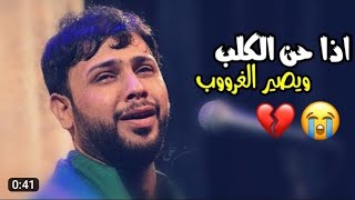 شايف اذا حن الكلب ويصير الغروب || ستوري سيد فاقد الموسوي حزين جديد 2023