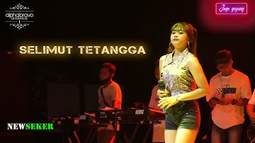 SELIMUT TETANGGA ~ ISMA MELINDA SI IMUT CANTIK  VERSI NEW SEKER