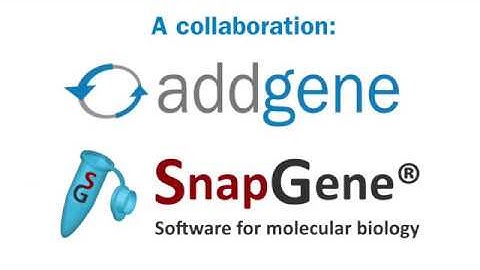 Improved Plasmid Maps Powered by SnapGene