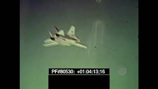 F14 Tomcat Aim 54 Phoenix
