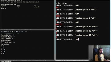 Little Bits of Lisp - Arrays with fill pointers