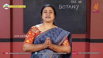 KITE VICTERS Plus two Botany Class 17 (First Bell-ഫസ്റ്റ് ബെല്‍)