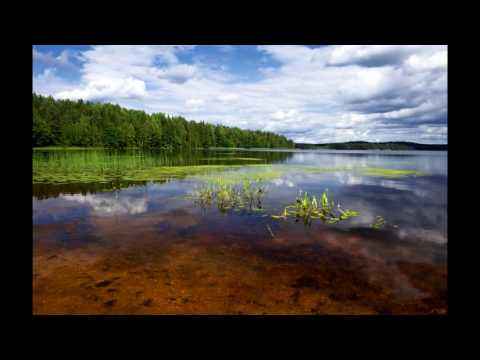 Video: Lake Samro, Leningrad-regionen: foto, beskrivelse, severdigheter i omgivelsene, fiskefunksjoner