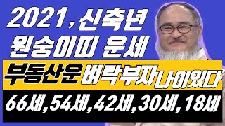 2021년원숭이띠운세 (신축년 잔나비띠운세)  천운이 열리면~  집사고,건물 사고 재물대박으로 사고친다?! …