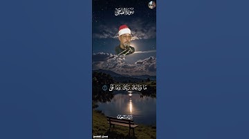 وَٱلضُّحَىٰ [ سورة الضـحى , ١ - ٥ ] - سيد سعيد  #قرآن