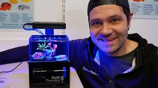 Is this the SMALLEST Reef Tank Possible?