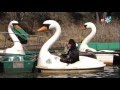 La Devo, la Jenni y la Vane en El Lago de Los Cisnes