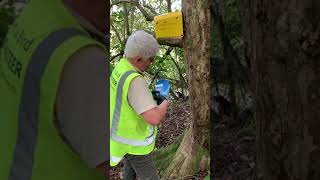 How to set a Flipping Timmy possum trap with Rhiannon