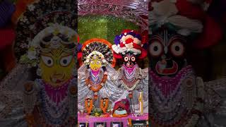 ভগবানের সন্ধা আরতি নিবেদন। ১৭ জুন ২০২৬ #radhakrishna #iskcon #krishnaconsciousness