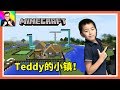 🔴Minecraft🔴什麼？Teddy自己建造了一個小鎮？看看都有什麼吧！🔴幸運方塊模組242