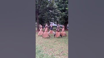 Papua dance Indonesia 🇮🇩 w/ @stenlyneo2619