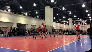 IMG 6470