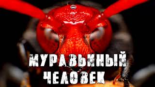 СТРАШНЫЕ ИСТОРИИ. МУРАВЬИНЫЙ ЧЕЛОВЕК. Жуткие Истории На Ночь. #ужасы #мистика #страх