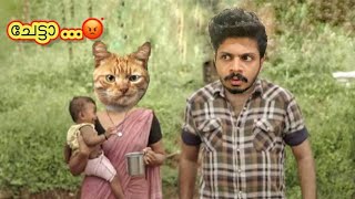 പൂച്ചകളുടെ ലോകം  | A Day in My Life  | AQ and Super Cats