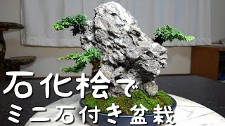 石付き盆栽用の石 mqdefault.jpg