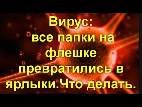 Вирус: все папки на флешке превратились в ярлыки.Что делать.