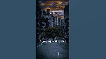 سورة البقرة| القارئ اسلام صبحي #قرآن #اكسبلور #راحة_نفسية #تلاوة_خاشعة #quran #اسلام_صبحي