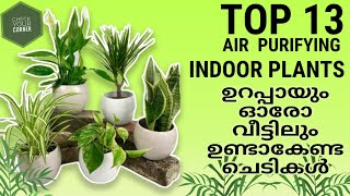 Best Air purifying indoor plants. ഭംഗി ക്കൊപ്പം വീട്ടിൽ ശുദ്ധവായുവും. Must Watch