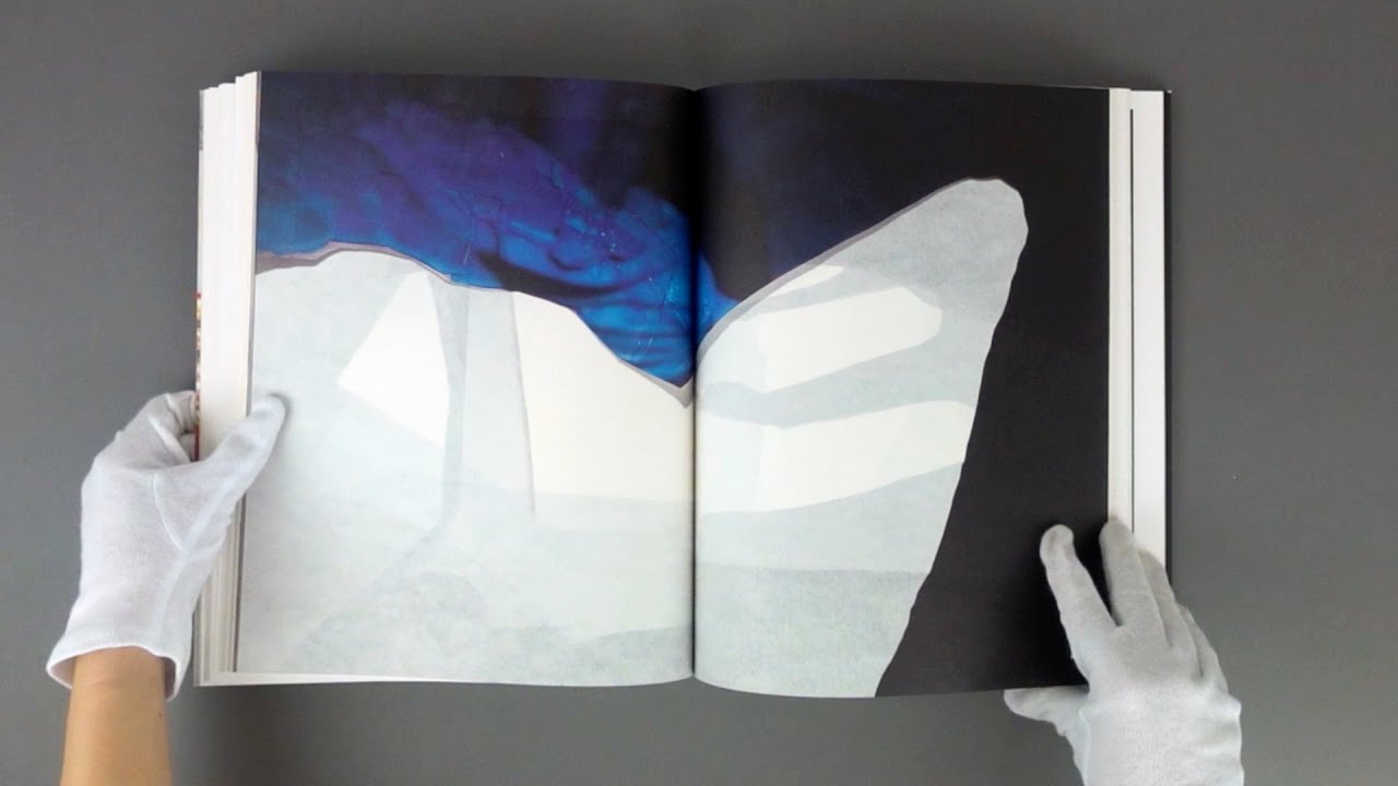 viviane sassen book