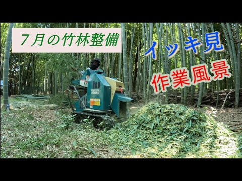 老者竹林 放置竹林奮闘記【早期退職者が竹を切る日々】2025/09/02 - YouTube