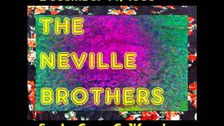The Neville Brothers - Africa - 1986 Santa Cruz