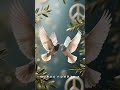 🕊️ Путин и Эрдоган договорились — мир меняется на глазах!