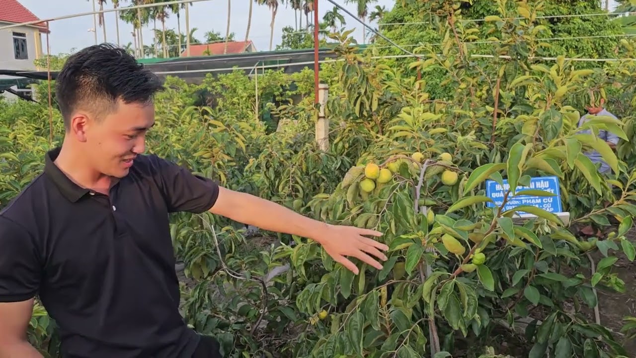 SH.9992. Đầu xuân về thăm lại NGHỆ NHÂN PHẠM CỪ CHUYÊN HỒNG CỔ TẾT HẢI HẬU NAM ĐỊNH.