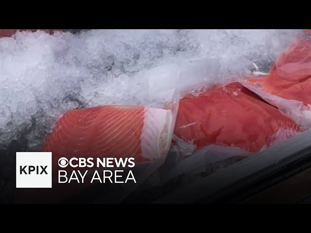 Commercial salmon fishing resumes in California, but uncertainty remains for industry