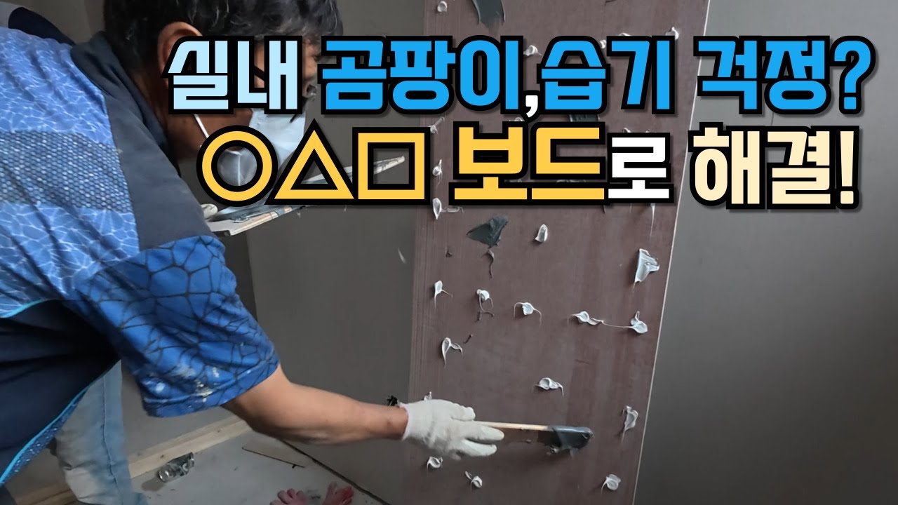 곰팡이, 습기 걱정없이 실내 공기 정화까지 가능한 실내 마감용 보드