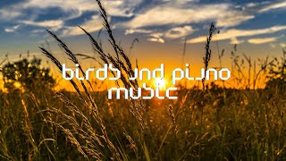 Melodic Harmony: Soothing Birds and Piano Music for Ultimate Relaxation#piano #relaxation #smooth by Relaxing zone 390 views 1 month ago 37 minutes