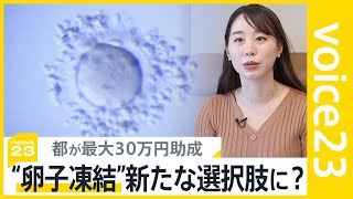 「出産する可能性を残しておきたい」卵子凍結は今後なくてはならない選択肢になりうるのか？　最大30万円助成の東京都 説明会に想定以上の応募【news23】｜TBS NEWS DIG