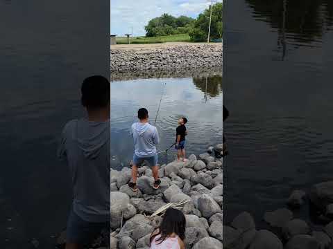 Tau mus nuv ntses 🎣  at Wheaton, MN #fishing #carps #monsterfish #livinglife #family #fishingvideo 