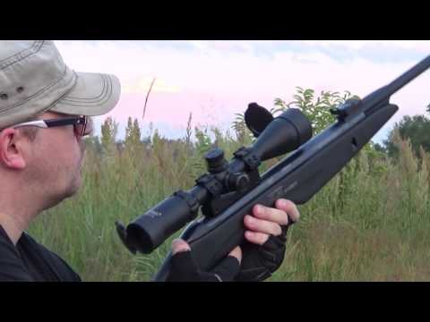 Gamo Whisper IGT review 