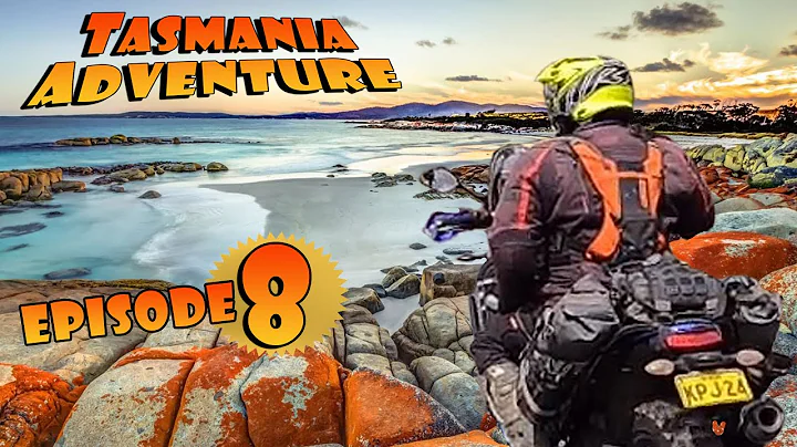 TASMANIA ADVENTURE EPISODE #8  Yamaha T7, KTM 790,...