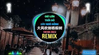 侯泽润 - 大风吹倒梧桐树 (DJEVA版) Gió Lớn Thổi Đổ Cây Ngô Đồng (Remix Tiktok) - Hầu Trạch Nhuận || Hot Douyin