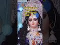 मां अब जाना नहीं चाहती #shorts #ytshorts #youtubeshorts #subscribe #govindvlogs #comment #like #mata