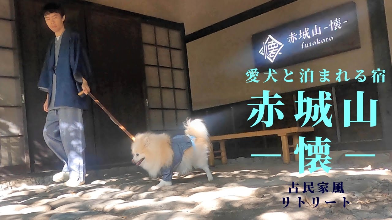 【ポメのムツオの旅日記】OPENしたての古民家風温泉宿、赤城山リトリート‐懐‐にお邪魔したムツオさん。紅葉の舞い散る群馬県赤城山の麓で、飼主とお揃いの浴衣を着て過ごした２日間。。【赤城山編】