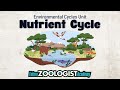 Nutrient Cycle Quiz