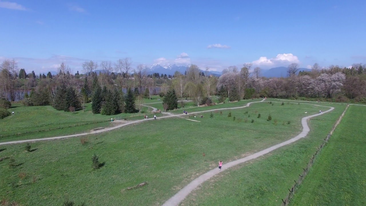 Derby Reach Regional Park OffLeash Dog Area 2 YouTube