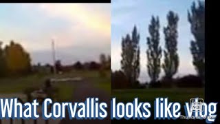 Sunset in Corvallis